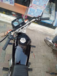 Lush condition 125
