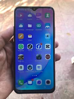 vivo