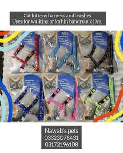 CAT ITEMS