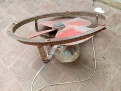 Collar Fan