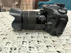 80D cemra