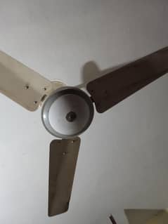 Urgent Sale