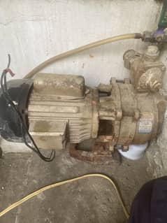double ampelor water pump