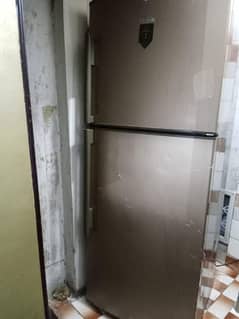 fridge hair full size