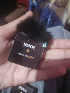 rode