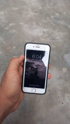 iphone 6