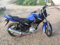 Yamaha ybr 2019/2020