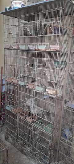 cages or dove for sell 8 or 12 portion read description