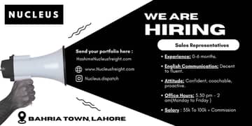 Sales agent for US based company