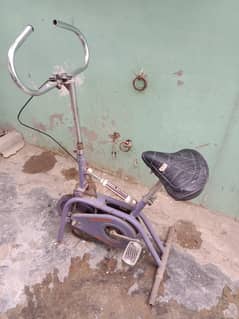 exercise cycle
