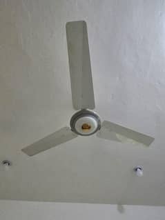 pak fan almost new 56 inches for sale in Multan