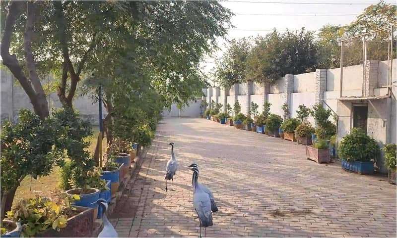 7 kanal Plot with Building on Main Express Way Interchange Big Front On Rent 4
