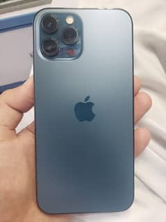 12 PRO MAX