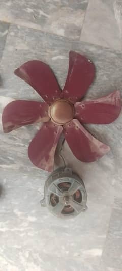 motor