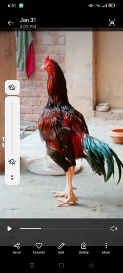 reader ke liye hai