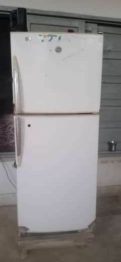 pel fridge mediam