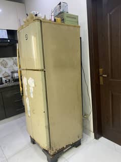 PEL Fridge