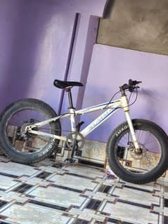 Fat bicycle for sale