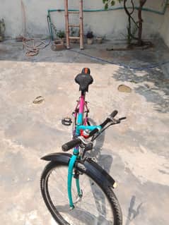 cycle