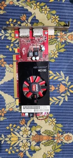 Amd