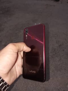 vivo