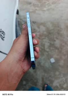 apple