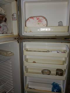 good fridge for sell