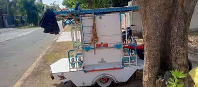 BORAY WALA SINGLE RIKSHA BODY