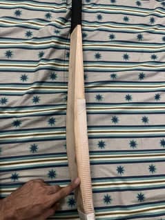 HS Hard ball bat