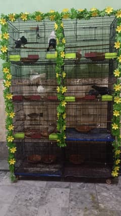 pigeon cage