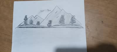sketchs