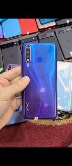 vivo