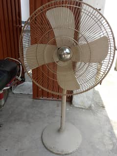 Fan