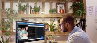 Wordpress Developer