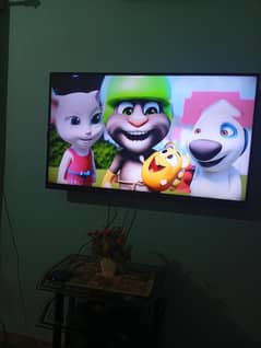 Sharp 50 inch size-(original) 03312547466