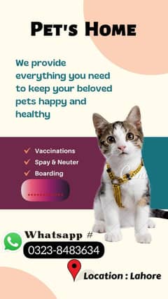 cats boarding service
