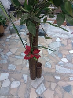 decorations vase