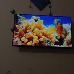 TCL 40" android LED with Box