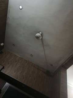 ceiling fans in copper winding