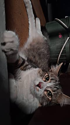 I