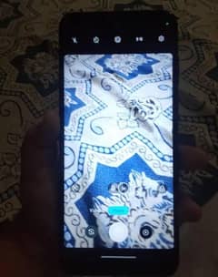 moto g2022