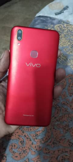 vivo