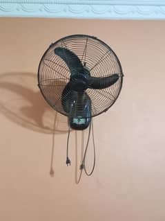 Bracket fan