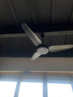 Celing