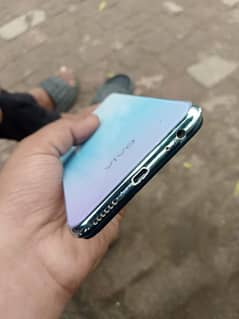 vivo
