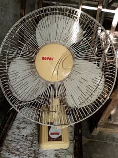 royal fan original condition