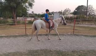 kid riding horse
