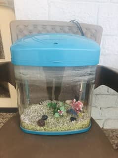 Fish