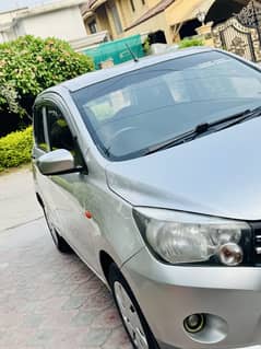 Suzuki caltus vxr 2018