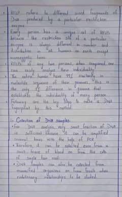will type handwritten notes and images into Word/PDF –